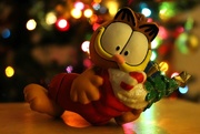 6th Dec 2016 - Garfield is ready for Christmas