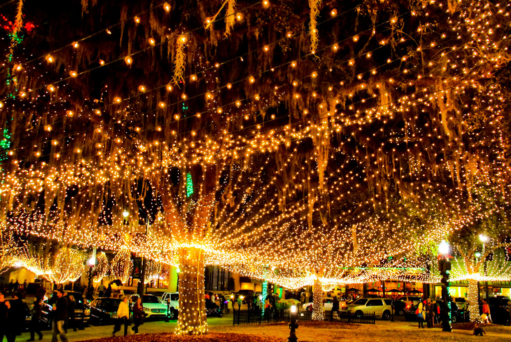 Canopy of lights by danette