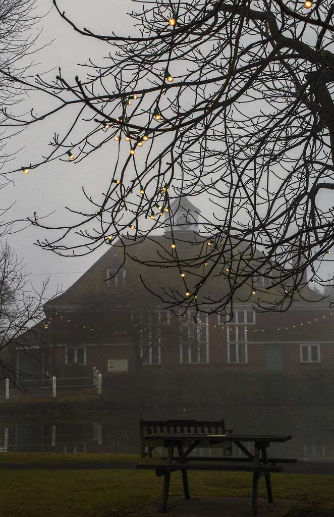Foggy Morning by megpicatilly