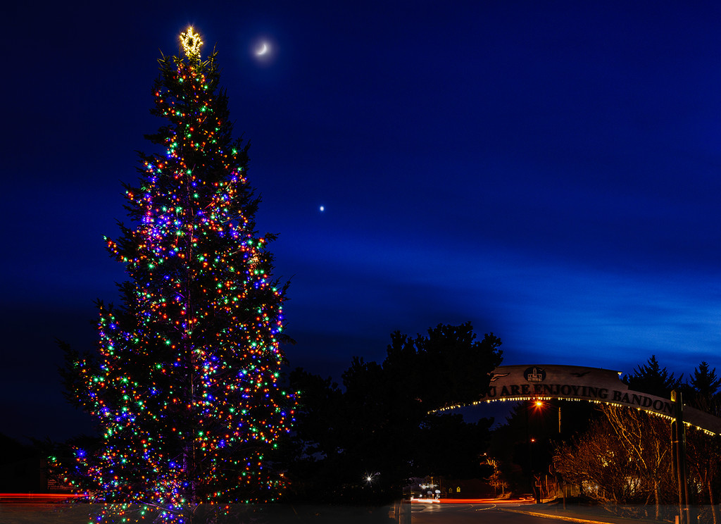 New Moon, Venus, and the Christmas Tree  by jgpittenger