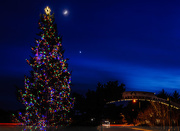 6th Dec 2016 - New Moon, Venus, and the Christmas Tree 
