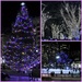 Tree Lighting Night in Boston by deborahsimmerman