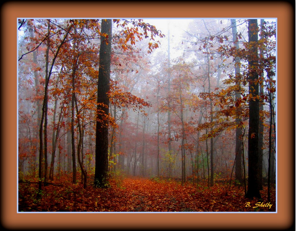 Foggy Fall Morn by vernabeth