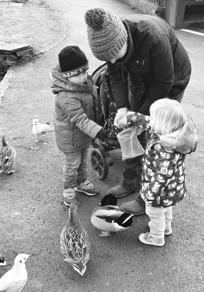 Feeding the ducks.... by anne2013