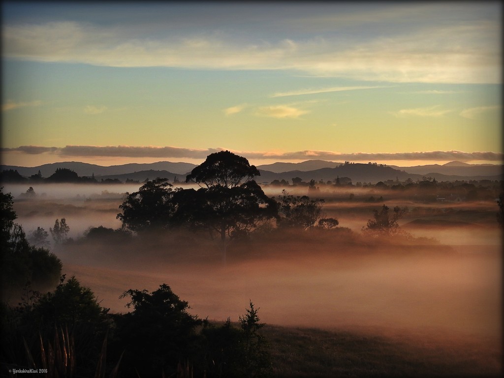 Misty Morning by yorkshirekiwi