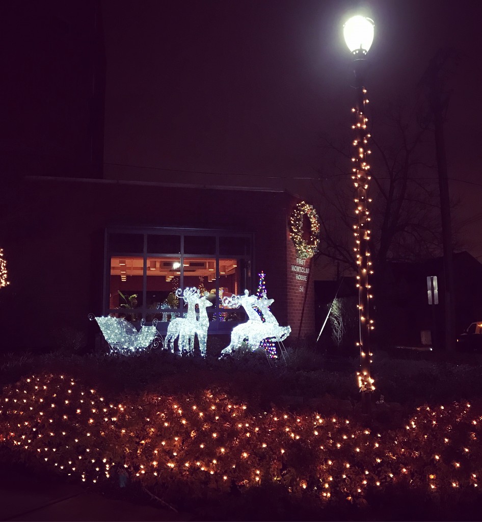 Christmas Lights by mattjcuk