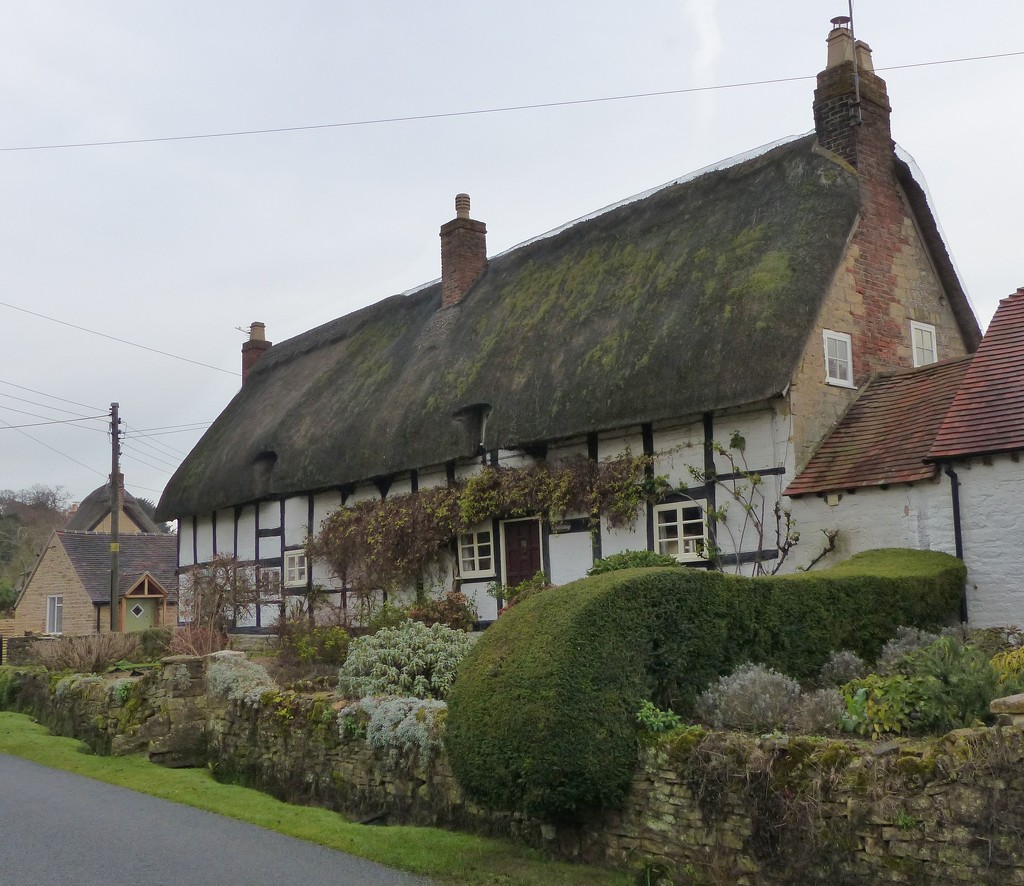 Pretty Thatched Cottage, Kemerton  by susiemc