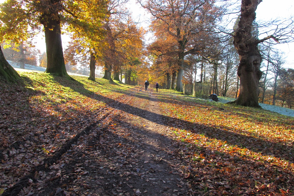 a frosty walk by anniesue