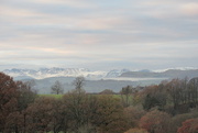 26th Nov 2016 - frosty view