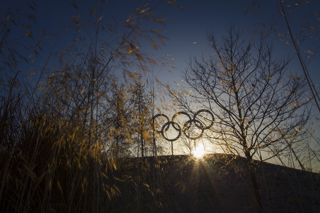 Day 339, Year 4 - Early Rise At Olympic Park by stevecameras