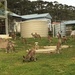 Aussie back yard by pusspup