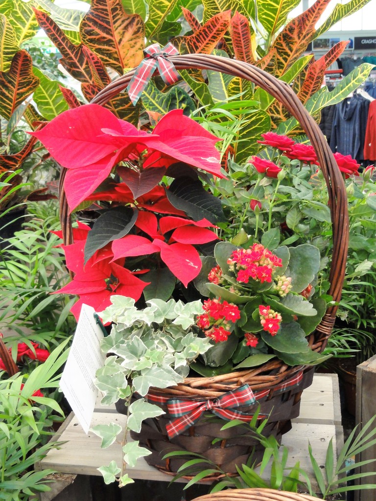 A Christmas basket  by beryl