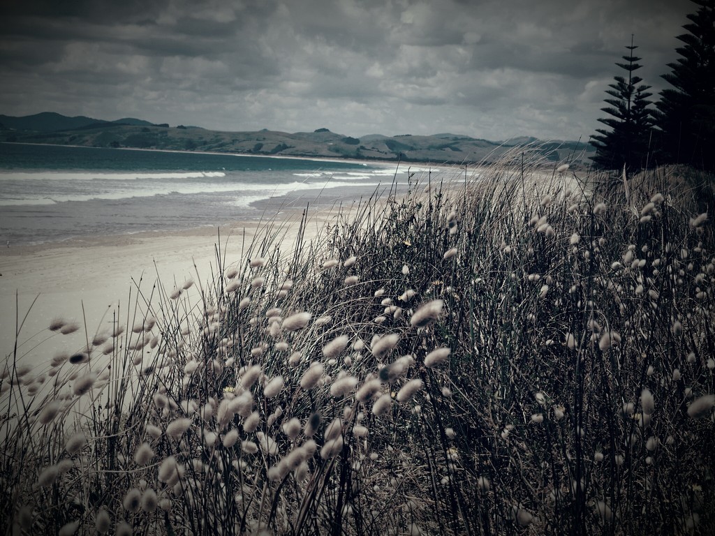 Tokeroa beach by Dawn