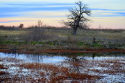 6th Dec 2016 - Subtle Layers of Kansas Color