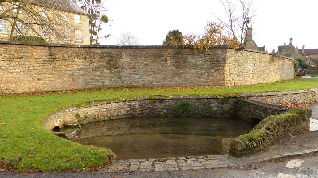 The Old Village Pond, Overbury by susiemc