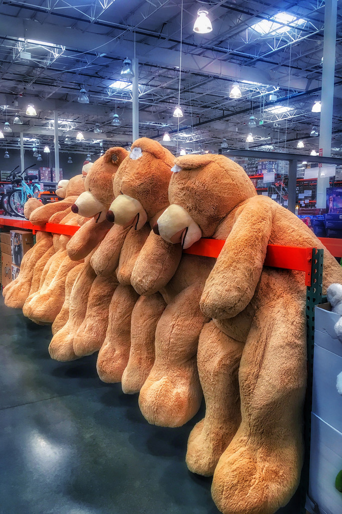 Bigger than Life Size Bears by jaybutterfield