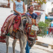 Donkey Ride-Mijas by ianjb21