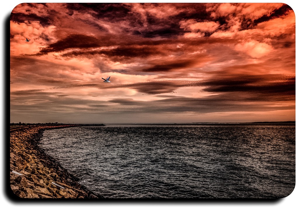 Red sky over the water by stuart46
