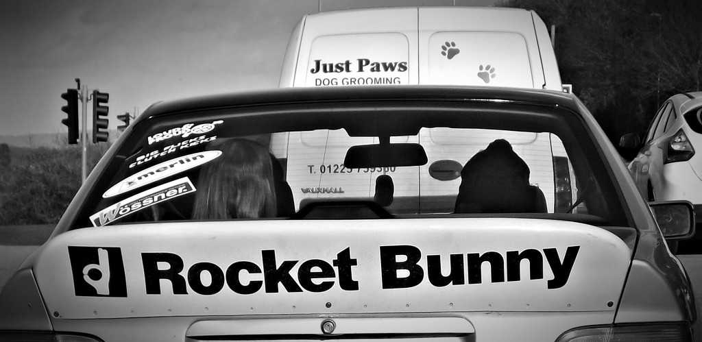 Just Paws vs Rocket Bunny by ajisaac