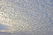 9th Dec 2016 - Clouds, or Ocean Waves?