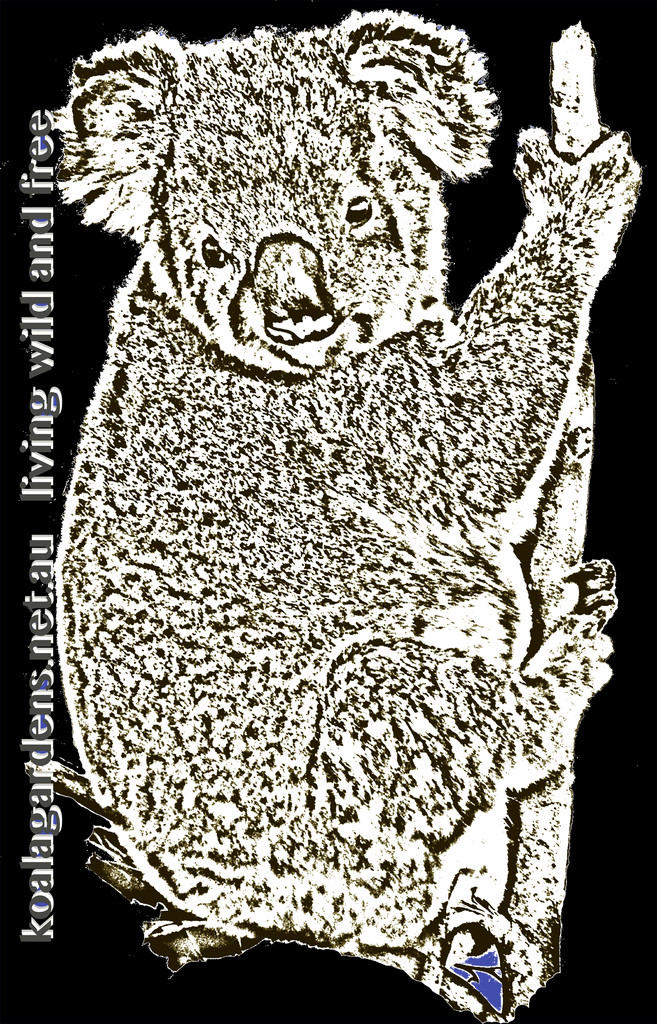 photocopy filter design by koalagardens