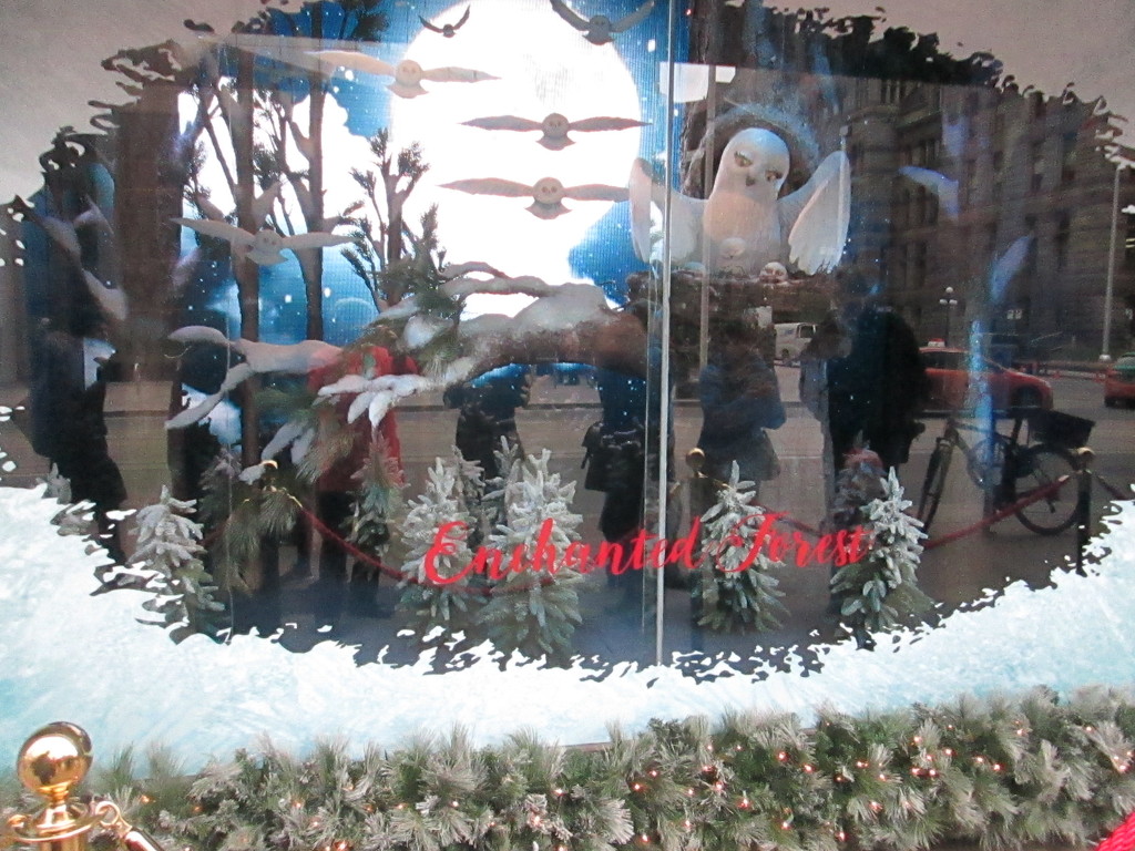 Last by not least - window display 5 by bruni