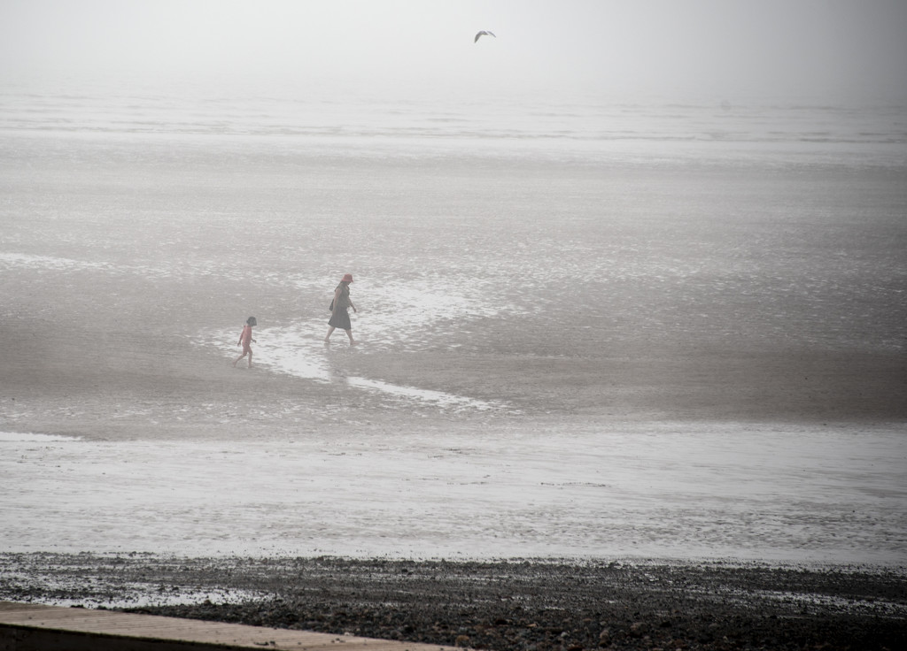 Sea-Mist---Seascale-Cumbria by ianjb21