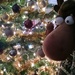 I Finally Got The Tree Decorated by scoobylou
