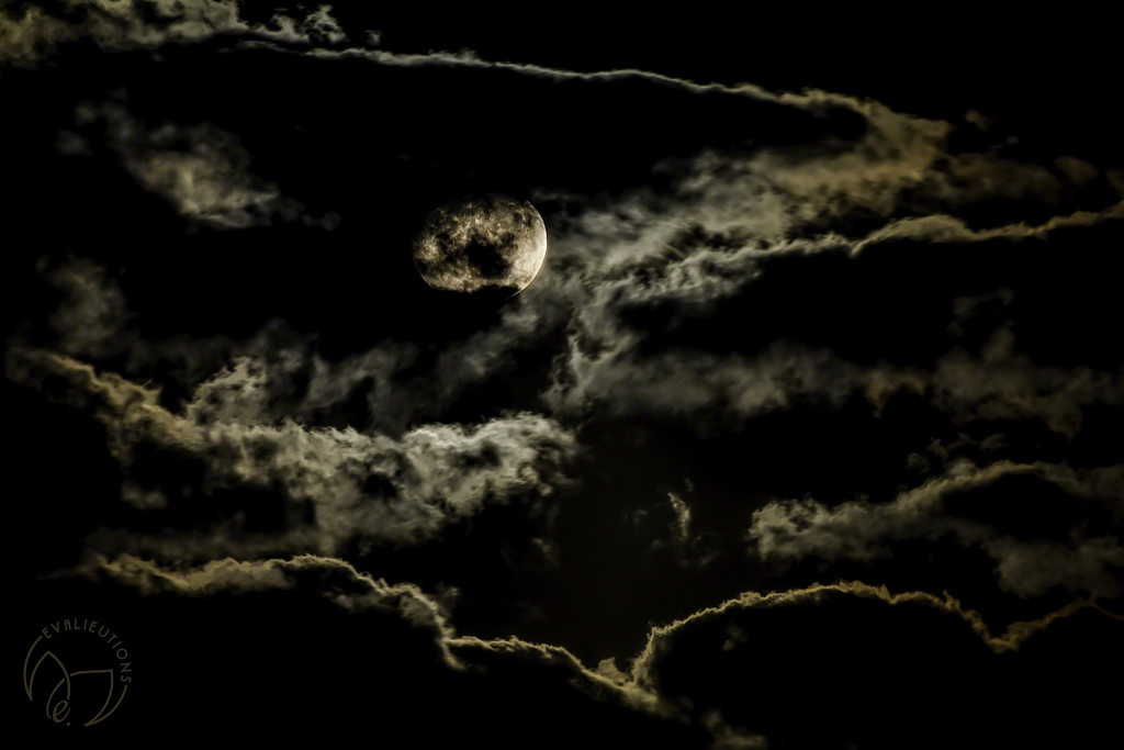 Peeping Moon by evalieutionspics