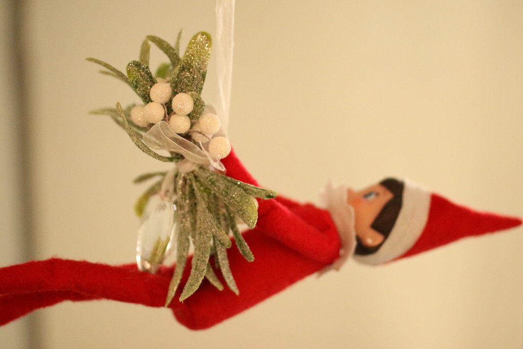 Elf on the Mistletoe  by bizziebeeme