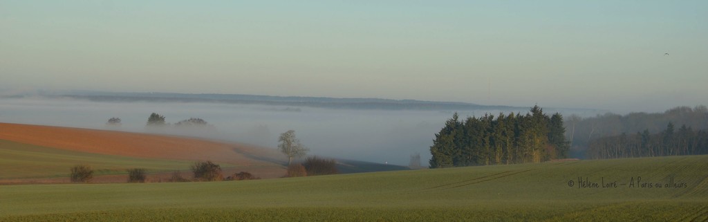 Morning mist by parisouailleurs