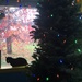 Christmas Tree by pandorasecho