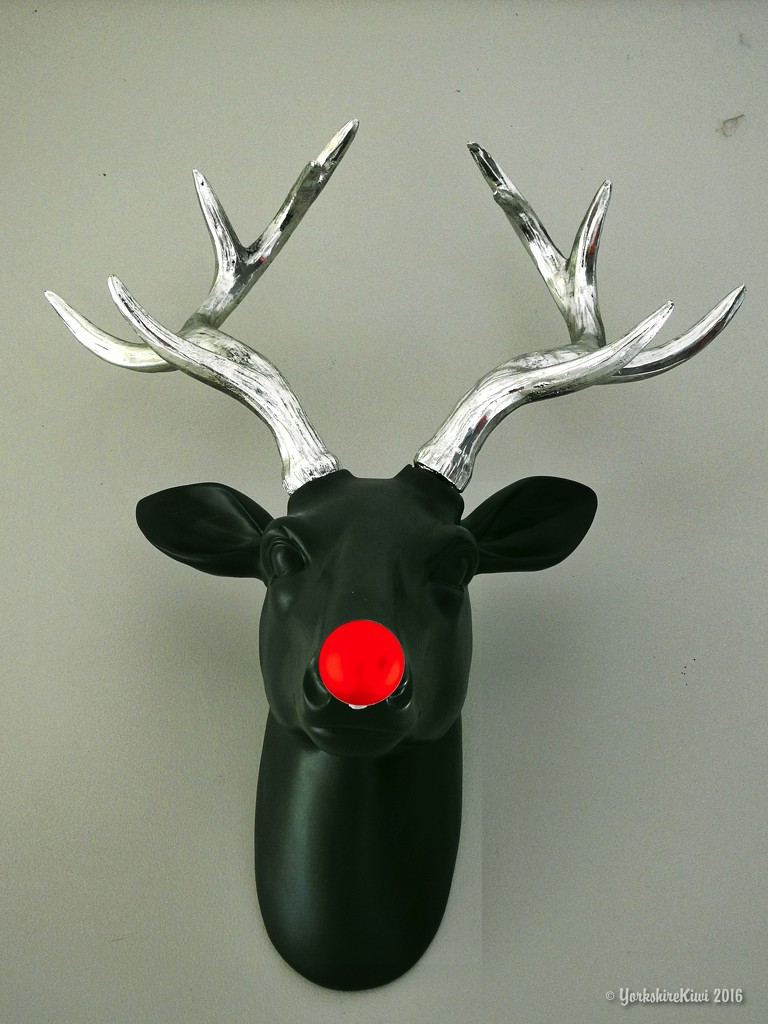 Rudolph by yorkshirekiwi
