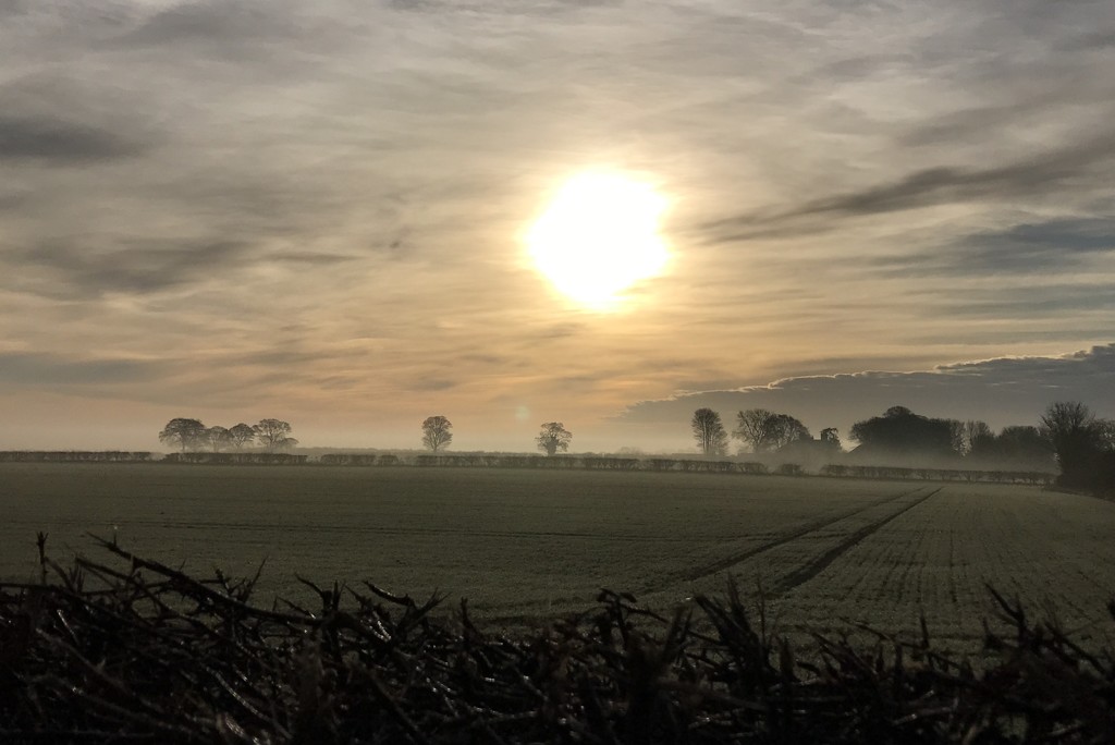 Misty Morning by carole_sandford
