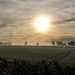 Misty Morning by carole_sandford