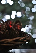 12th Dec 2016 - Bokeh, Baubles, Beads and Basket