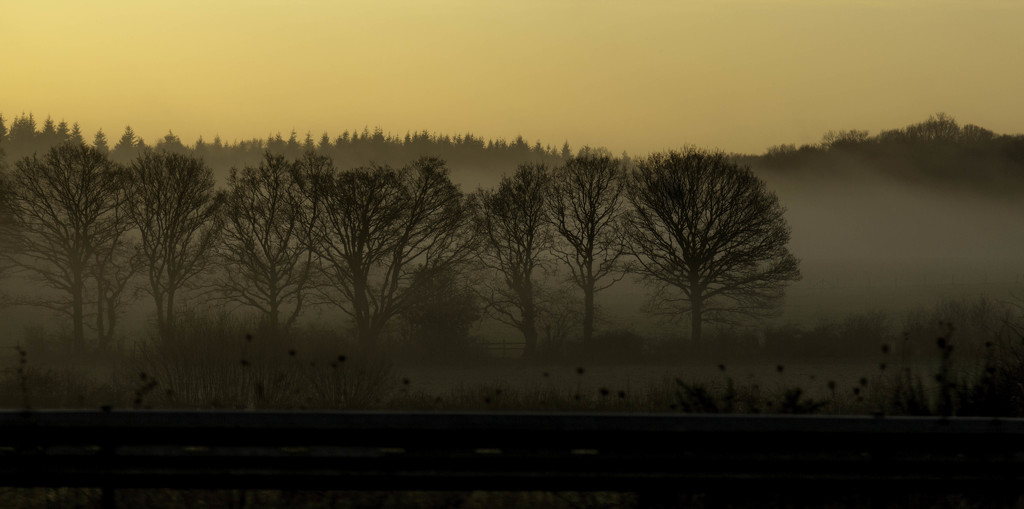 Foggy Sunrise by shepherdmanswife