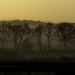 Foggy Sunrise by shepherdmanswife
