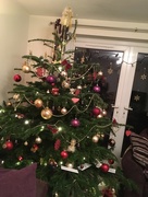 10th Dec 2016 - Christmas Tree