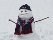 12th Dec 2016 - Snowfan The Snowman
