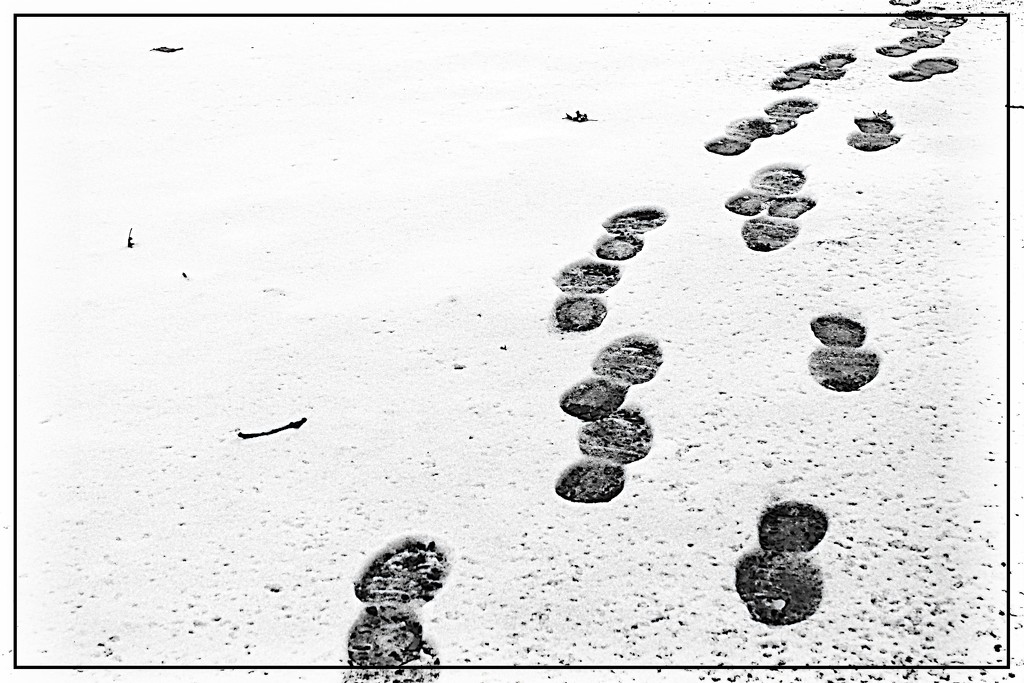 Footprints in the Snow by olivetreeann