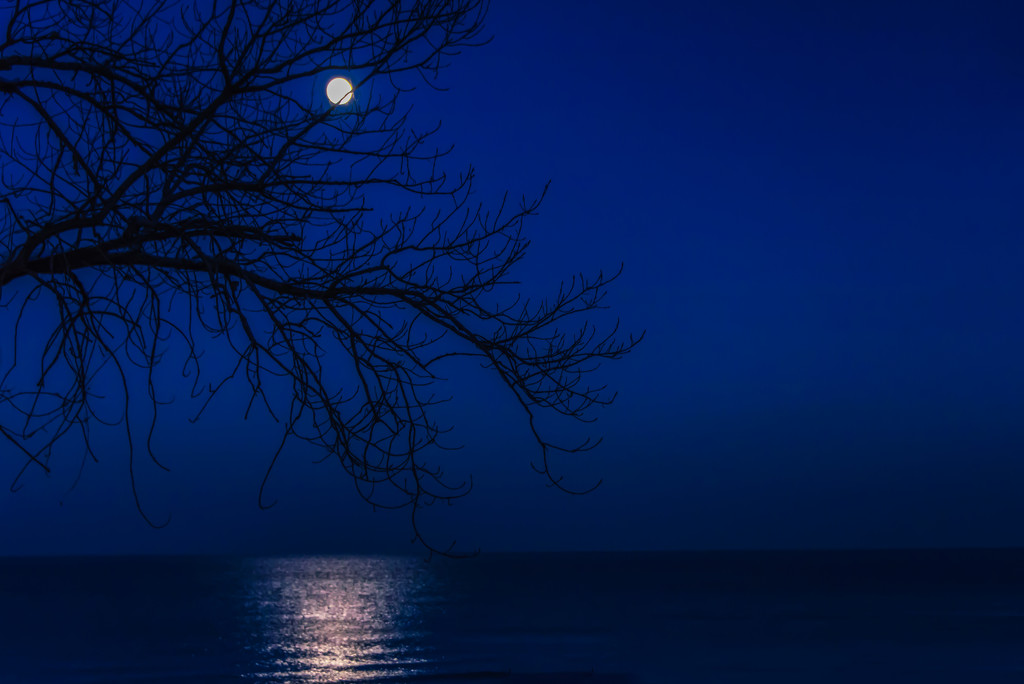 Moon over Lake Michigan by taffy