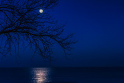 12th Dec 2016 - Moon over Lake Michigan