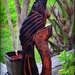 Wooden Tui by yorkshirekiwi
