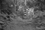 10th Jan 2017 - Nude on a Hill in the Woods