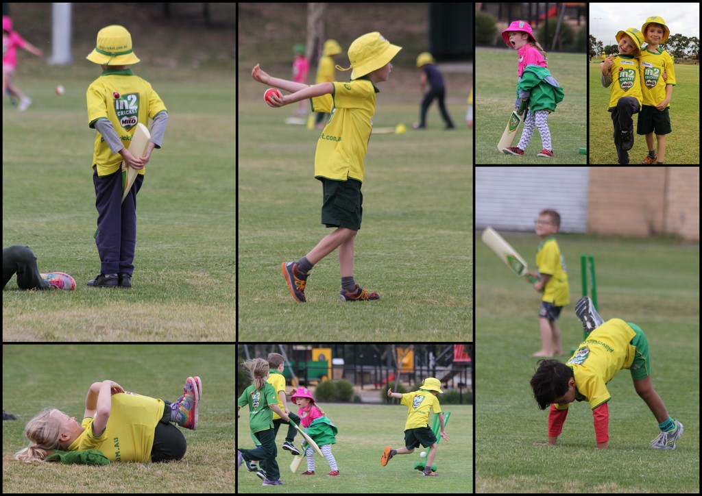 Cricket antics by gilbertwood