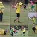 Cricket antics by gilbertwood