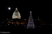 13th Dec 2016 - Just A Little Bling On The Lawn