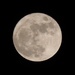 Full Moon by selkie