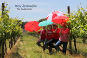 14th Dec 2016 - Merry Christmas from the Brolly Girls